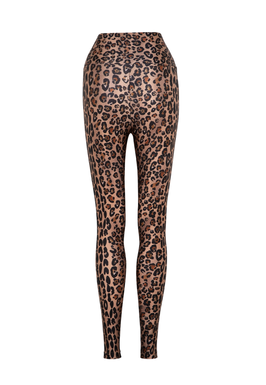Legging Lycra® Cós Leopard Gold